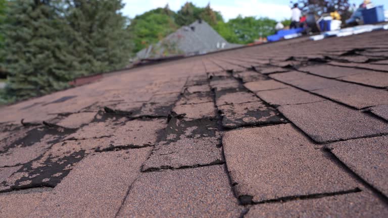 Best Roof Maintenance and Cleaning  in Marlow Heights, MD